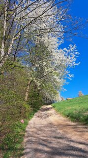 Foto von Roland Meitz entlang der Tour