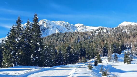 Foto von Matthias Maier entlang der Tour
