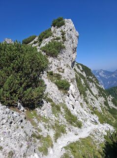 Photo de Johanna Amlacher le long du parcours