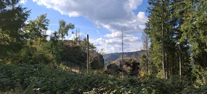Foto von Karin-Wandert entlang der Tour