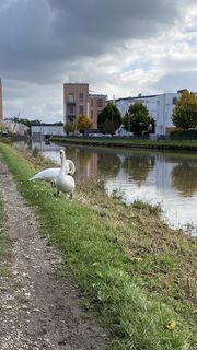 Foto von Anca Lucacel entlang der Tour