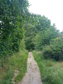 am Karl-Bachler-Wanderweg unterwegs