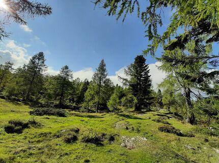Foto von Hubertbogner758 entlang der Tour