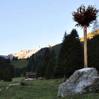 Der Geweihbaum