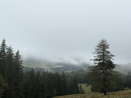 Foto von Gerti Glettler entlang der Tour