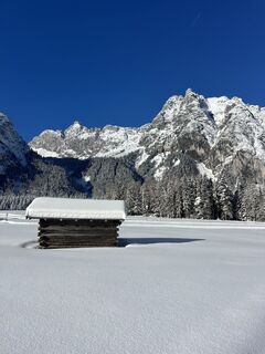 Foto von Heikoala entlang der Tour