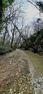 Foto von Davor  Umag City Croatia.?? entlang der Tour