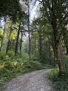 Fotografie z Maria Belen Hahn na trase