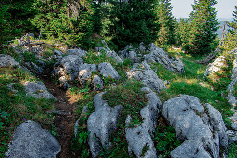 Photo de Leo Fahrngruber le long du parcours