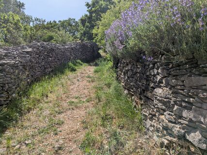Die Causse