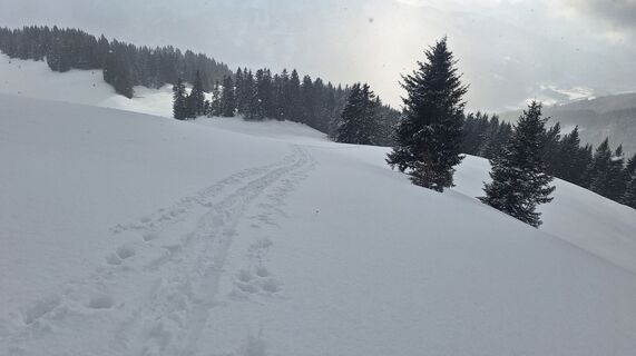 Fotografia z Regina Fleischmann na trase