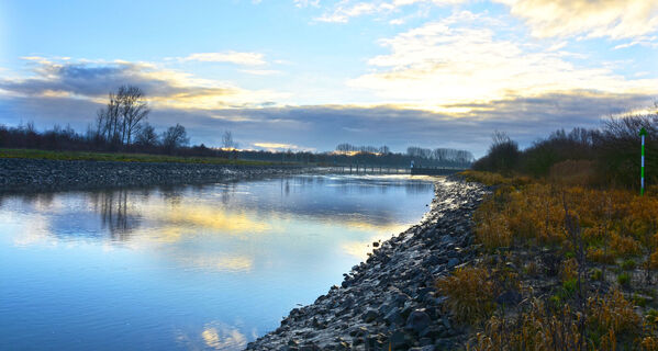 Emsauen, Naturschutzgebiet bei Herbrum ©Emsland Tourismus GmbH (2)