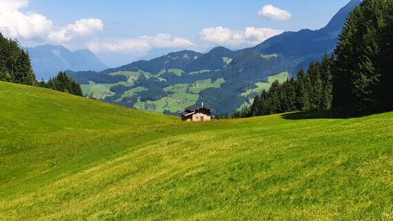 Fotografie z Gerrit van der Linde na trase