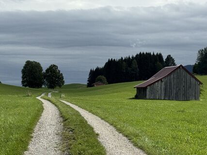 Photo de Denise Miller le long du parcours