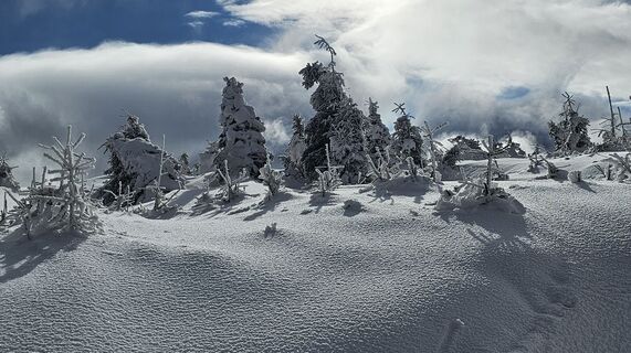 Fotografia z Paula Heichinger na trase