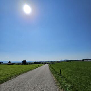 Fotografija s spletne strani garrincha na poti