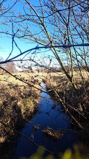 Foto von Anita Lunzer 1 entlang der Tour