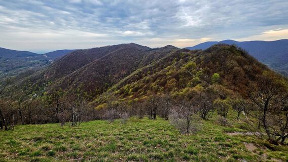 Fotografia z Danijel Sorola na trase