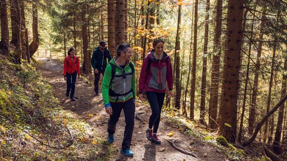 herbstliche Wanderung auf dem Tunnelweg - er bietet abwechslungsreiche Wanderabschnitte und beeindruckende Ausblicke
