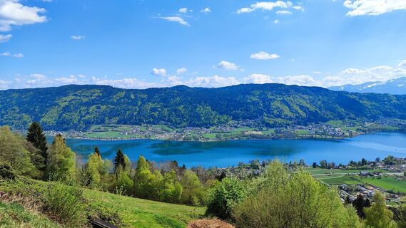 Zdjęcie z Barbara Haimburger wzdłuż trasy