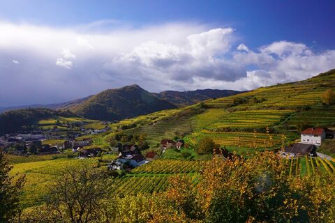 Fotografia z Walter Köllner na trase