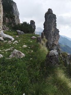 Fotografija s spletne strani Lorenzo Martinelli na poti