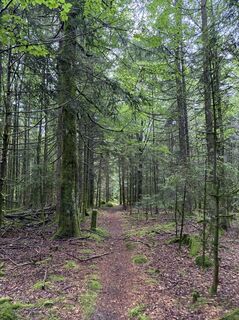 Photo de Kristina 1 le long du parcours