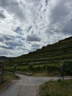 Foto von Alexander Schober entlang der Tour