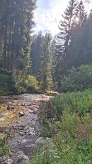 Foto da riccardo corno lungo il tour
