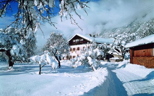 Winter Wildermieming.jpg