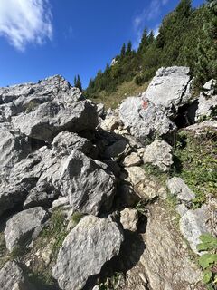 Foto von Katrin Rupprecht entlang der Tour