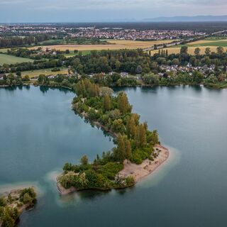 Binsfeld Speyer