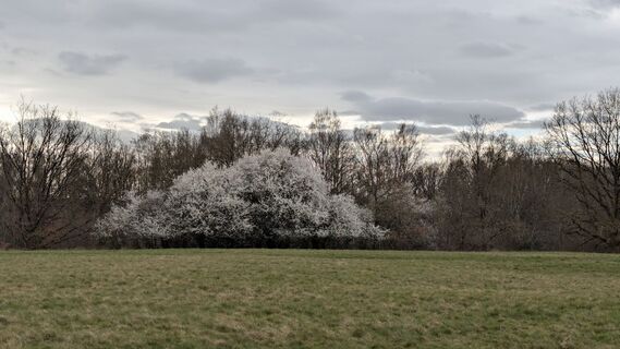 Fotografia z Peter Kreutzer na trase