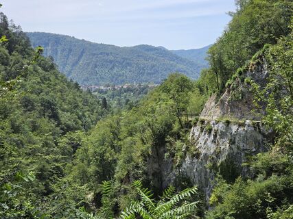 Fotografija s spletne strani TwilightTea na poti