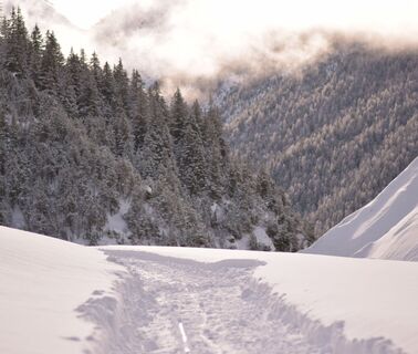 Winterwandern im Val S-charl