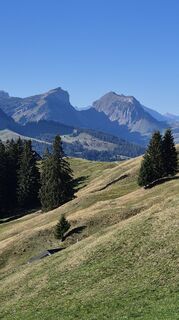 Photo de Thomi W le long du parcours