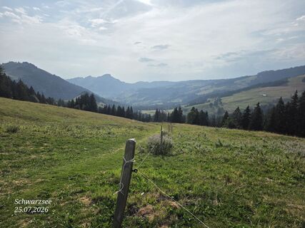 Foto von Massimo Romano 2 entlang der Tour