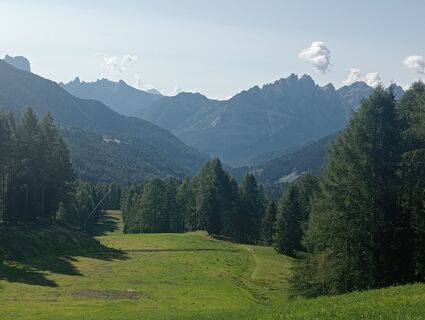Fotografija s spletne strani Armando na poti