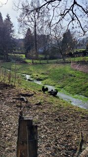 Foto von Anna48 Ma entlang der Tour