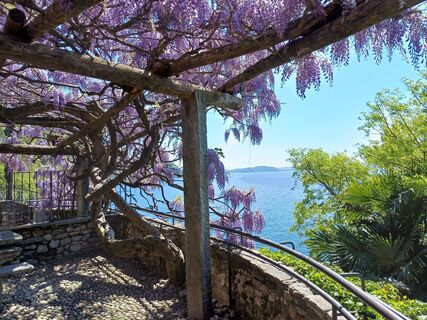 Fotografie z Volker Stähle na trase