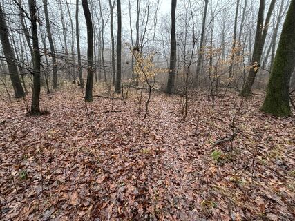 Foto de Róbert Mészáros a lo largo del recorrido