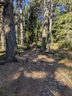 Photo de Heidirenate le long du parcours