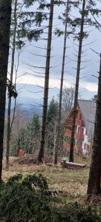 Foto van Utassy Tóth Johanna langs de tour