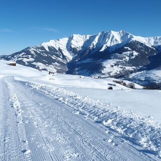 Schlittelweg Triel - Morissen