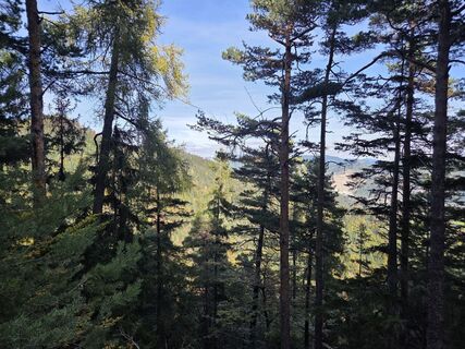 Fotografia z Timon Bertignoll na trase