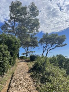 Fotografia z Marina I na trase