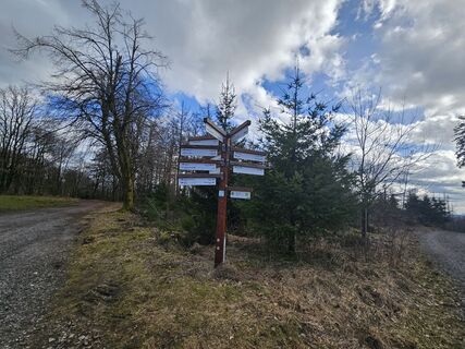 Zdjęcie z Volker Wagener wzdłuż trasy
