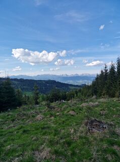 Fotografia z Michael Forstner na trase