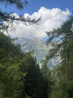 Foto från Karl Heinz Fick under resans gång