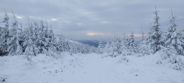 Foto de Sylwiasuchy76 a lo largo del recorrido